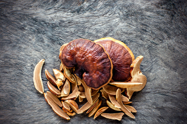 Reishi Mushroom