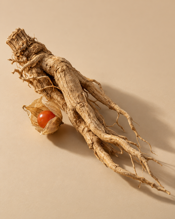 What Does Ashwagandha Do to Your Body? Benefits, Risks and Timeline