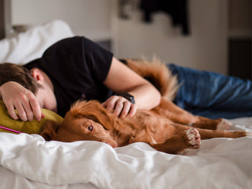 Sleeping man in a cozy environment suggesting a good sleep mode 