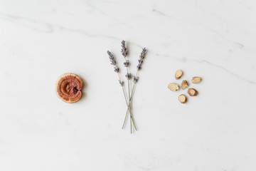 Adaptogens for Sleep: The Missing Ingredient in Every Sleep Supplement & Best Sleep Aid Ranked for 2026