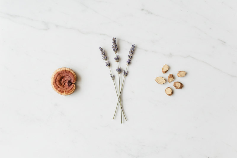 Adaptogens for Sleep: The Missing Ingredient in Every Sleep Supplement & Best Sleep Aid Ranked for 2026